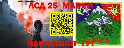 стаф Кимры
