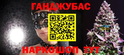 крисы Кингисепп