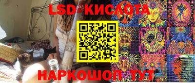 стаф Кимры