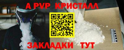 крисы Кингисепп