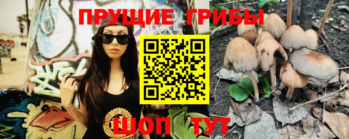Ялта  Галлюциногенные грибы GOLDEN TEACHER  Псилоцибиновые грибы MAGIC MUSHROOMS  Вход с VPN 